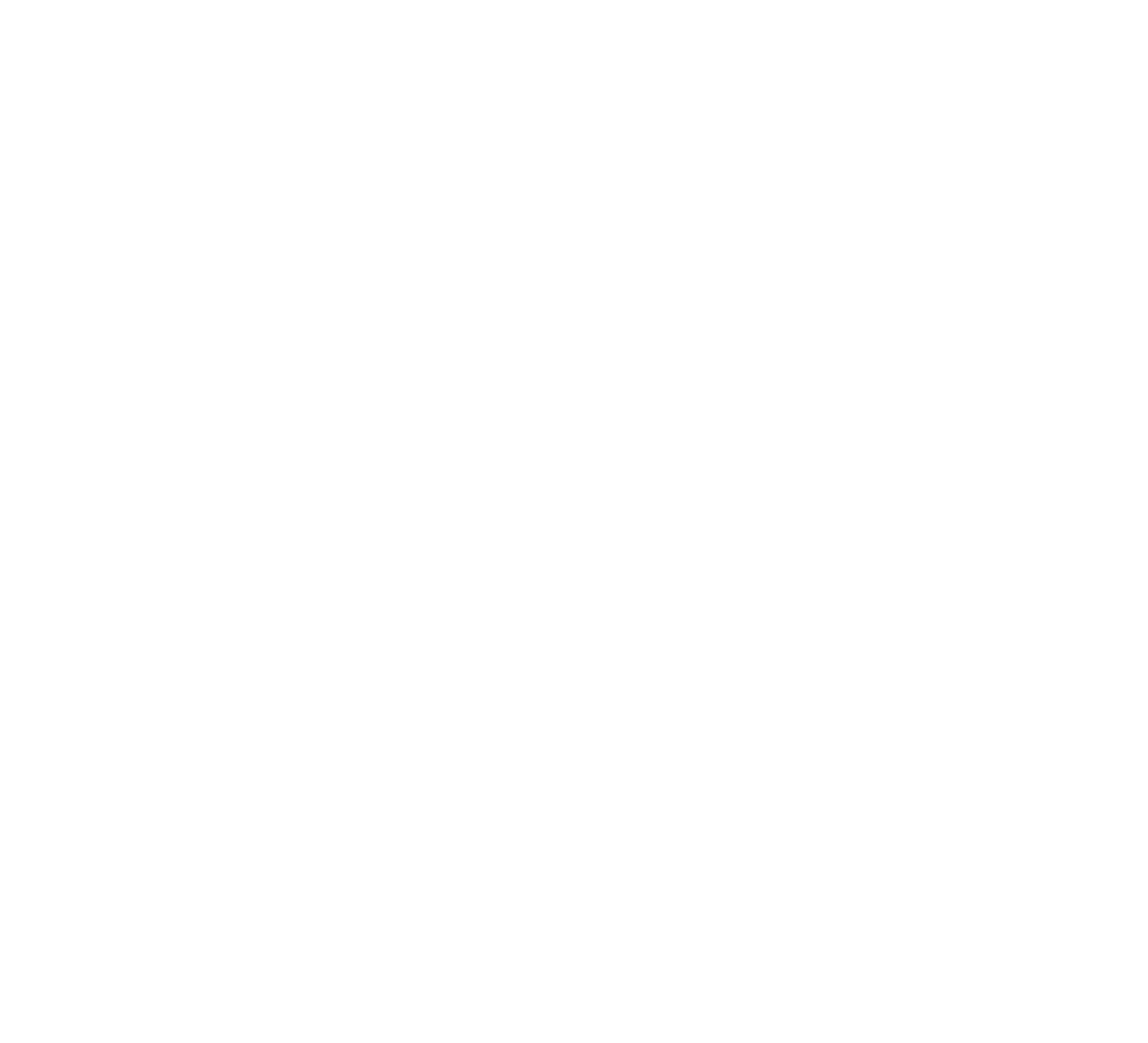 Blue Heron Business Partners